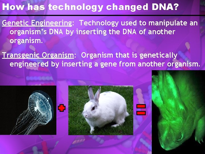 How has technology changed DNA? Genetic Engineering: Technology used to manipulate an organism’s DNA