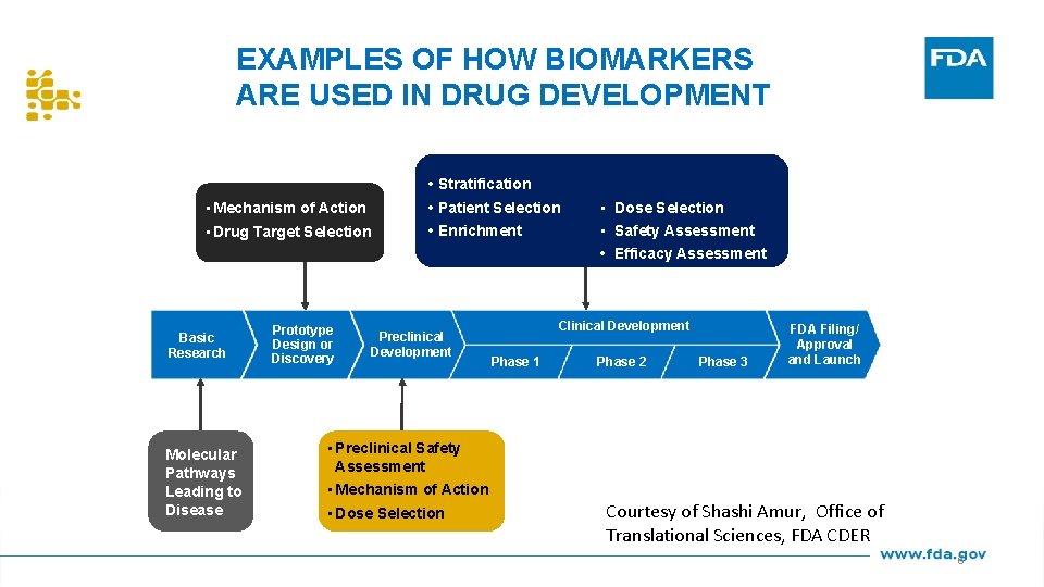 EXAMPLES OF HOW BIOMARKERS ARE USED IN DRUG DEVELOPMENT • Stratification • Mechanism of