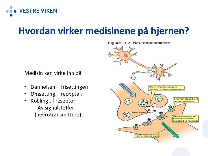 Hvordan virker medisinene på hjernen? Medisin kan virke inn på: • Dannelsen – frisettingen