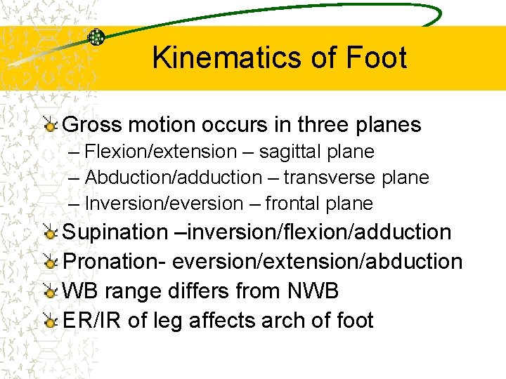 Kinematics of Foot Gross motion occurs in three planes – Flexion/extension – sagittal plane