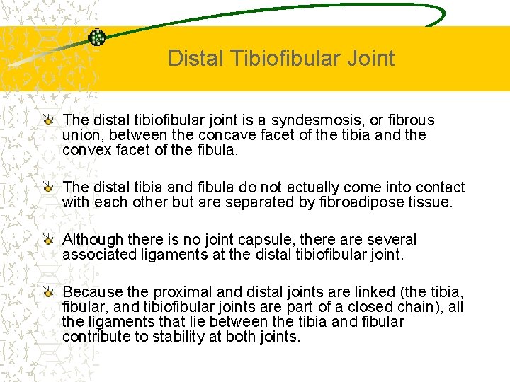 Distal Tibiofibular Joint The distal tibiofibular joint is a syndesmosis, or fibrous union, between