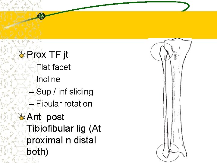 Prox TF jt – Flat facet – Incline – Sup / inf sliding –