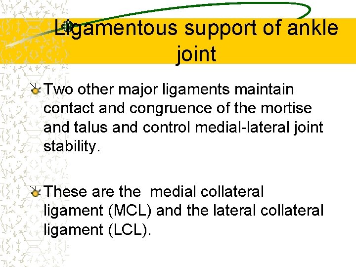 Ligamentous support of ankle joint Two other major ligaments maintain contact and congruence of