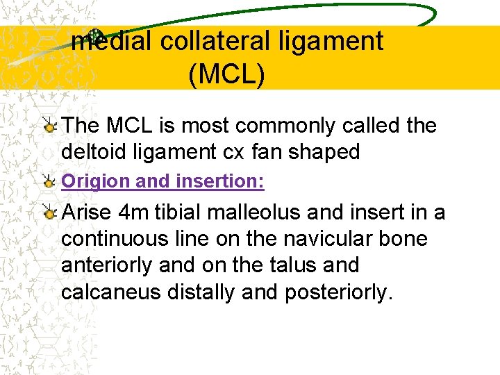 medial collateral ligament (MCL) The MCL is most commonly called the deltoid ligament cx