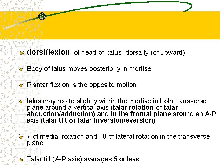 dorsiflexion of head of talus dorsally (or upward) Body of talus moves posteriorly in