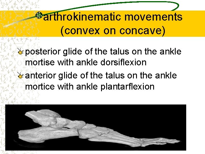 arthrokinematic movements (convex on concave) posterior glide of the talus on the ankle mortise