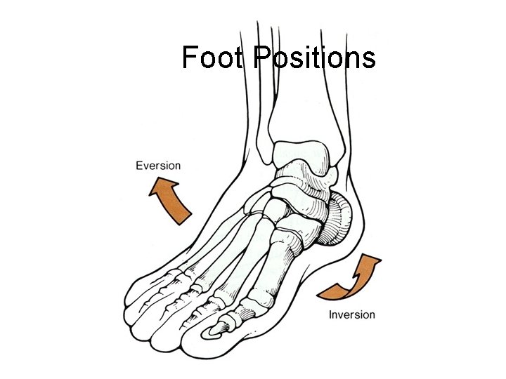 Foot Positions 