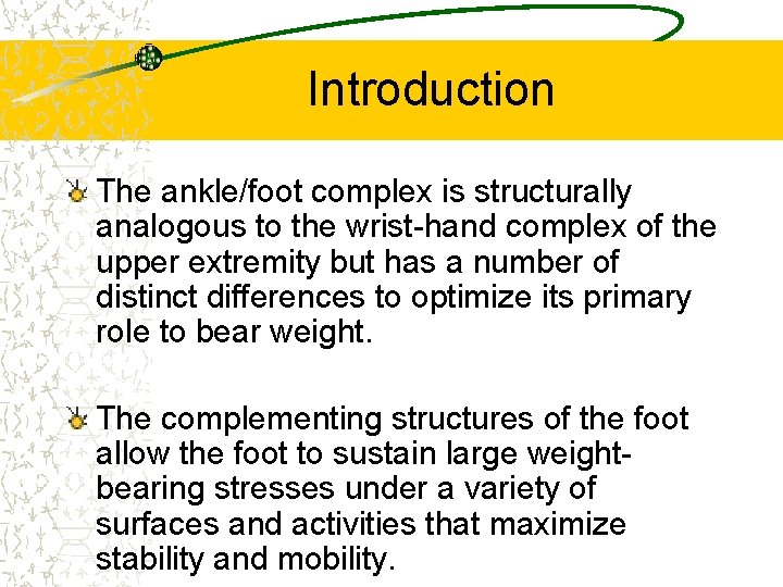 Introduction The ankle/foot complex is structurally analogous to the wrist-hand complex of the upper