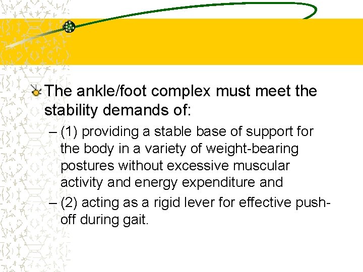 The ankle/foot complex must meet the stability demands of: – (1) providing a stable