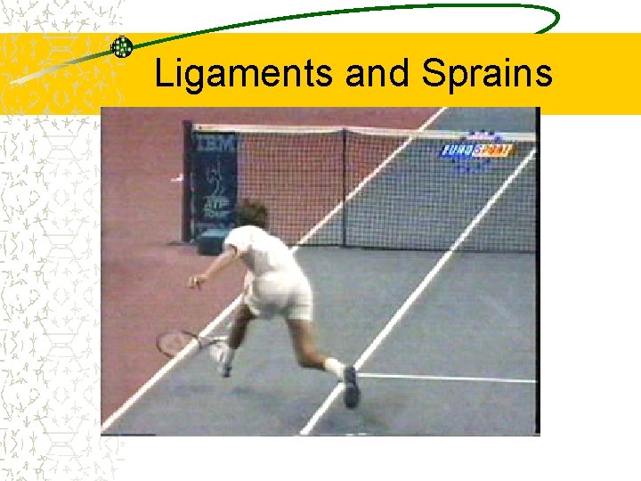 Ligaments and Sprains 