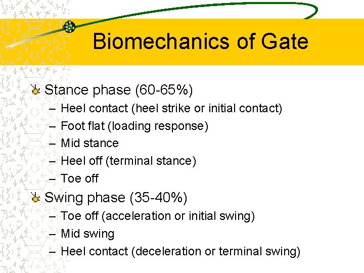 Biomechanics of Gate Stance phase (60 -65%) – – – Heel contact (heel strike