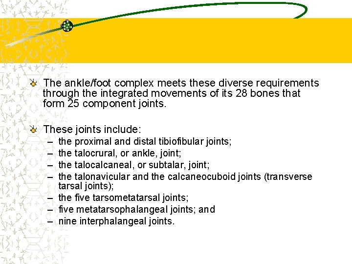 The ankle/foot complex meets these diverse requirements through the integrated movements of its 28