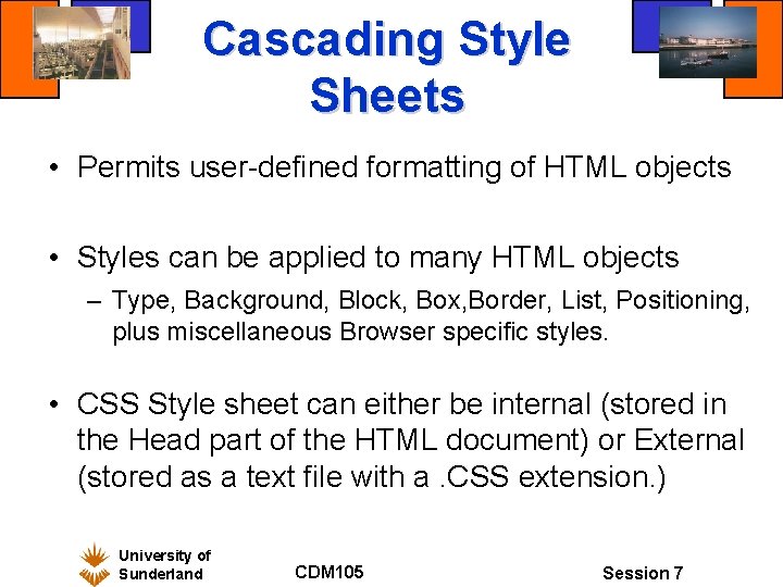 Cascading Style Sheets • Permits user-defined formatting of HTML objects • Styles can be