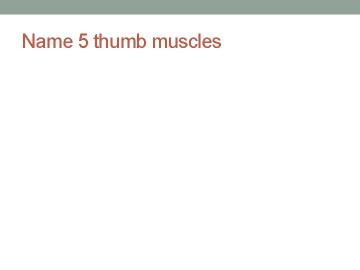 Name 5 thumb muscles 