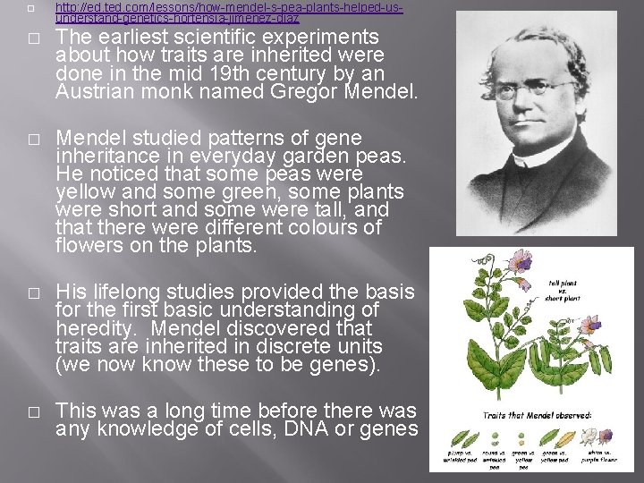 � http: //ed. ted. com/lessons/how-mendel-s-pea-plants-helped-usunderstand-genetics-hortensia-jimenez-diaz � The earliest scientific experiments about how traits are � http: //ed. ted. com/lessons/how-mendel-s-pea-plants-helped-usunderstand-genetics-hortensia-jimenez-diaz � The earliest scientific experiments about how traits are
