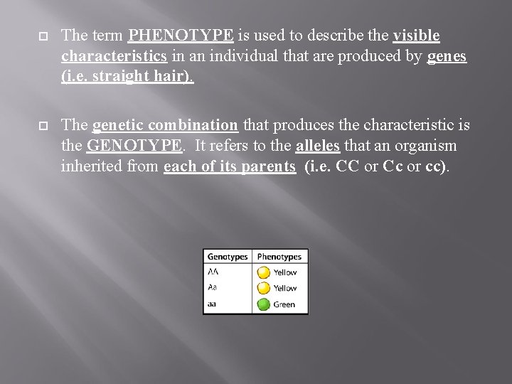 The term PHENOTYPE is used to describe the visible characteristics in an individual The term PHENOTYPE is used to describe the visible characteristics in an individual