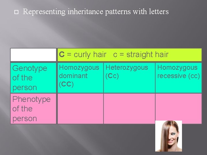Representing inheritance patterns with letters C = curly hair c = straight hair Representing inheritance patterns with letters C = curly hair c = straight hair