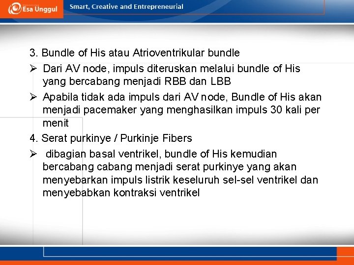 3. Bundle of His atau Atrioventrikular bundle Ø Dari AV node, impuls diteruskan melalui