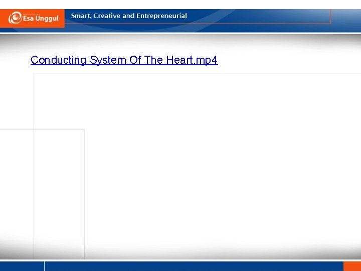 Conducting System Of The Heart. mp 4 