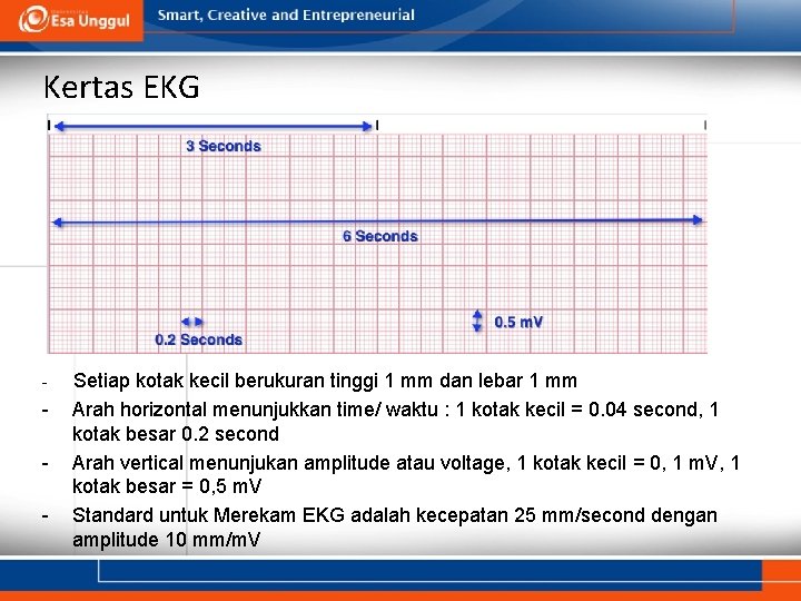 Kertas EKG - - Setiap kotak kecil berukuran tinggi 1 mm dan lebar 1