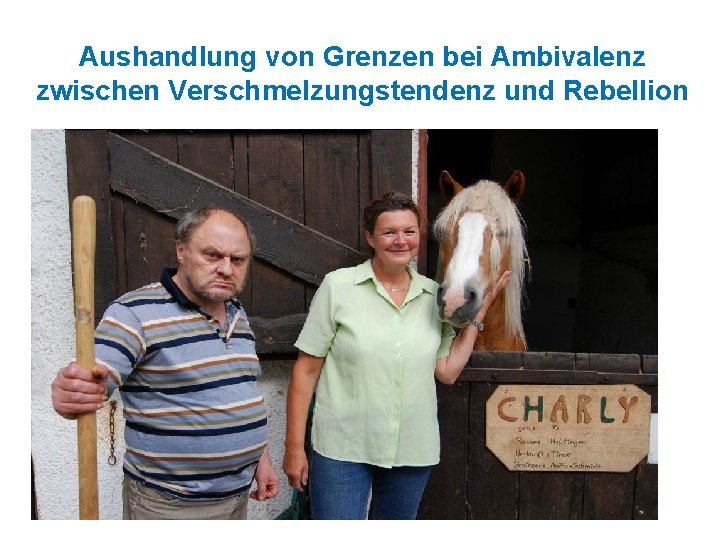 Aushandlung von Grenzen bei Ambivalenz zwischen Verschmelzungstendenz und Rebellion 