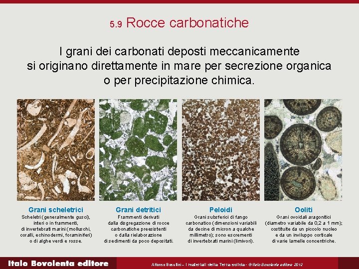 5. 9 Rocce carbonatiche I grani dei carbonati deposti meccanicamente si originano direttamente in