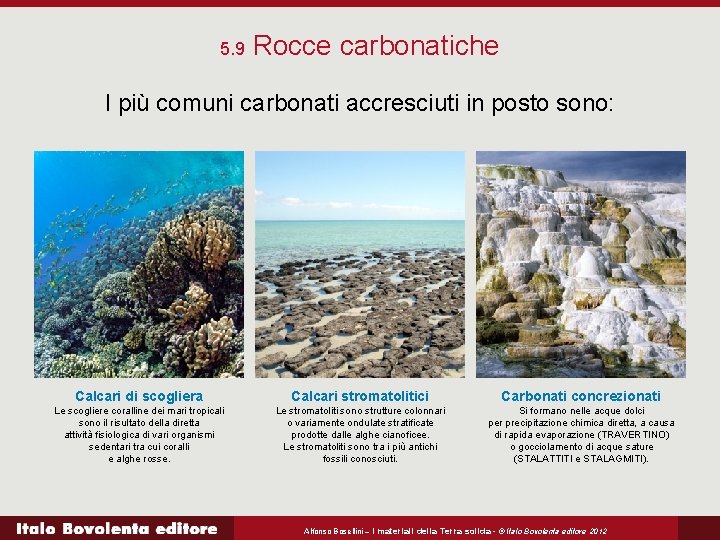 5. 9 Rocce carbonatiche I più comuni carbonati accresciuti in posto sono: Calcari di
