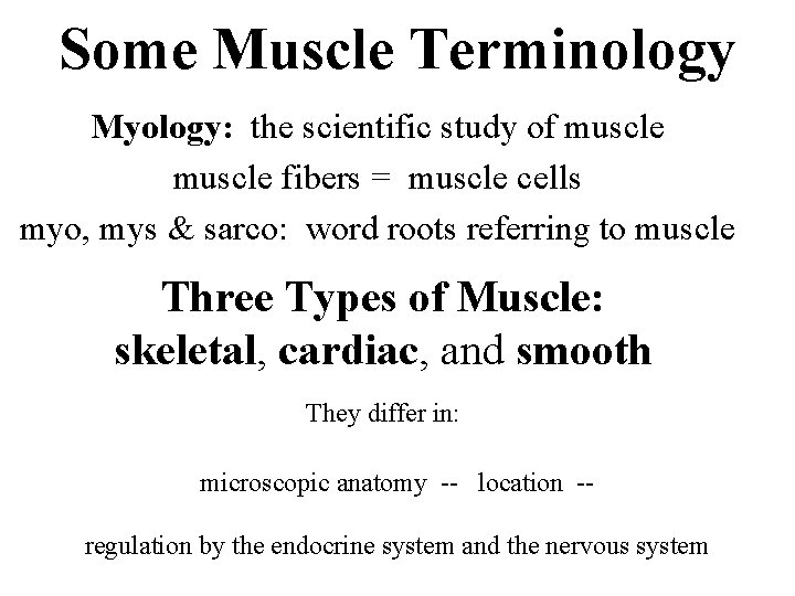 Some Muscle Terminology Myology: the scientific study of muscle fibers = muscle cells myo,