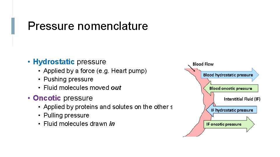 Pressure nomenclature • Hydrostatic pressure • Applied by a force (e. g. Heart pump)