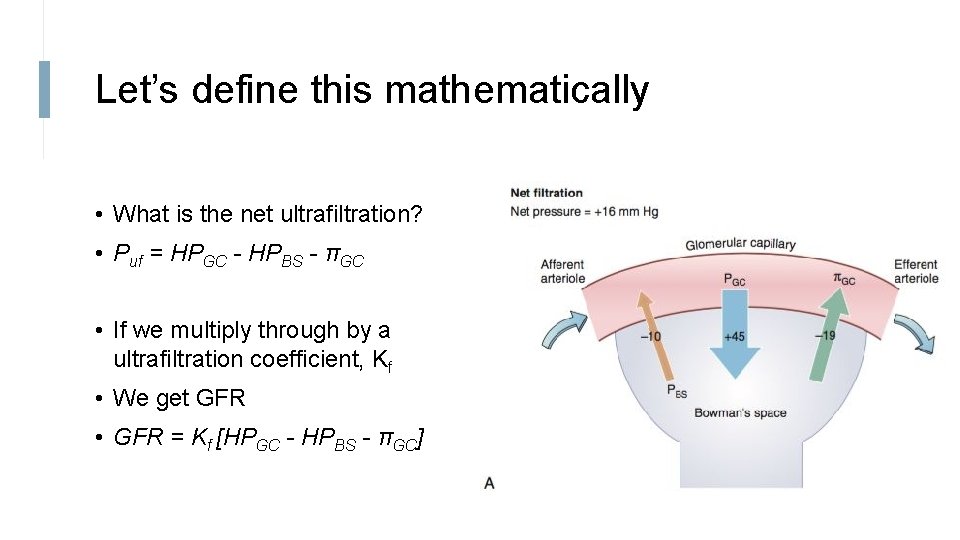 Let’s define this mathematically • What is the net ultrafiltration? • Puf = HPGC