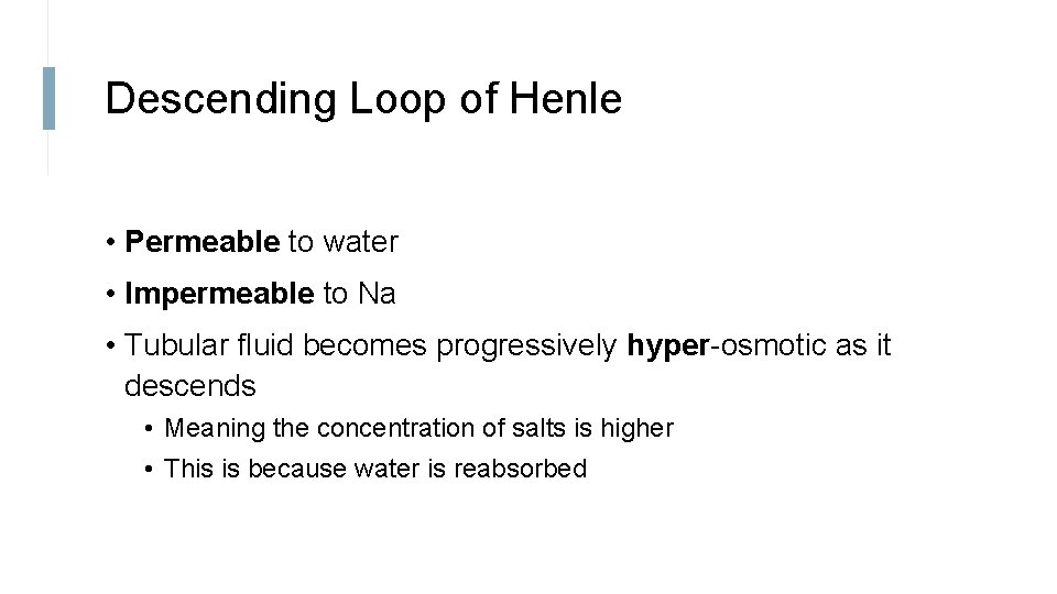 Descending Loop of Henle • Permeable to water • Impermeable to Na • Tubular