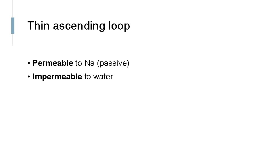 Thin ascending loop • Permeable to Na (passive) • Impermeable to water 