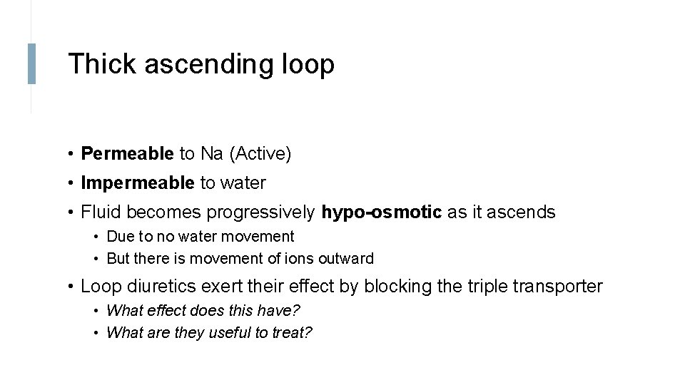 Thick ascending loop • Permeable to Na (Active) • Impermeable to water • Fluid