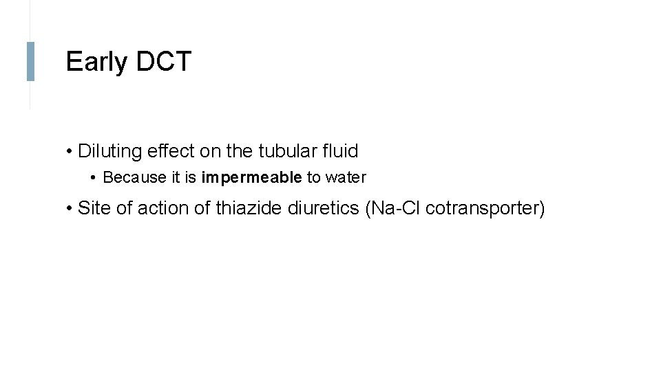 Early DCT • Diluting effect on the tubular fluid • Because it is impermeable