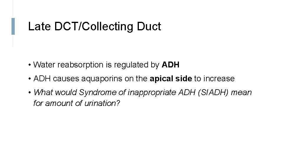 Late DCT/Collecting Duct • Water reabsorption is regulated by ADH • ADH causes aquaporins