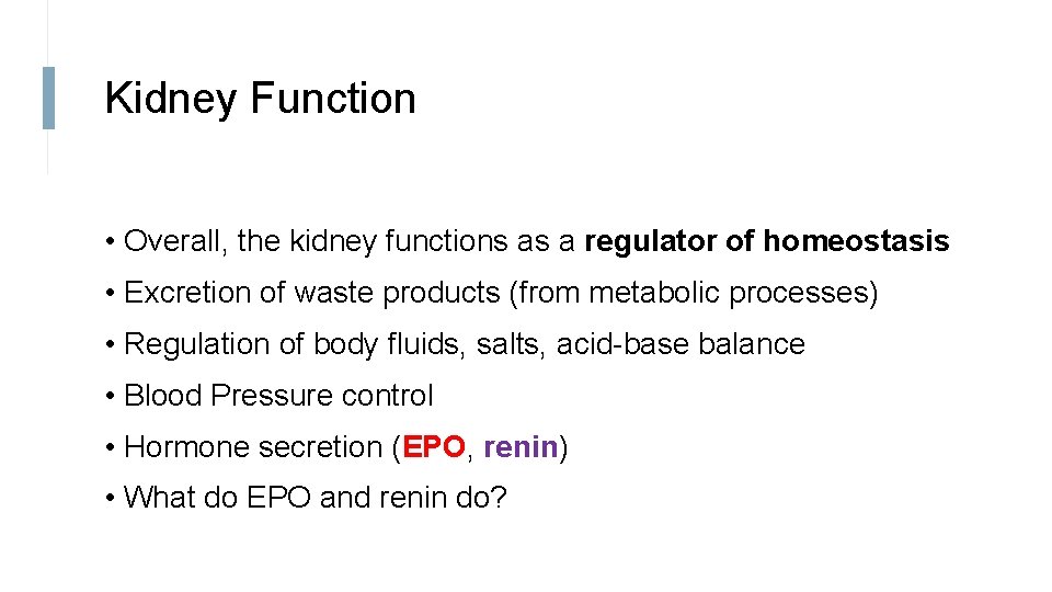 Kidney Function • Overall, the kidney functions as a regulator of homeostasis • Excretion