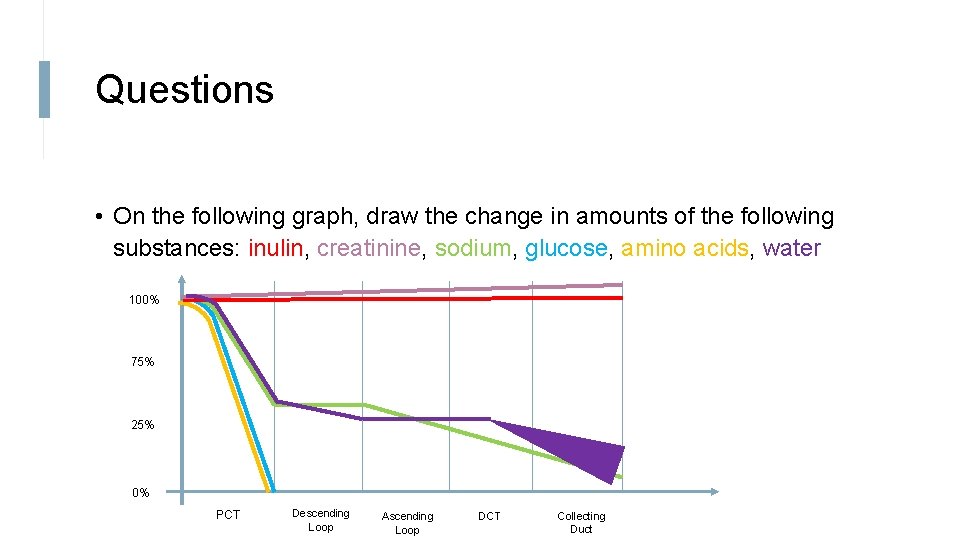 Questions • On the following graph, draw the change in amounts of the following
