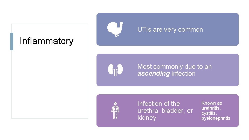 UTIs are very common Inflammatory Most commonly due to an ascending infection Infection of
