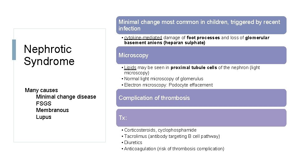 Minimal change most common in children, triggered by recent infection Nephrotic Syndrome Many causes