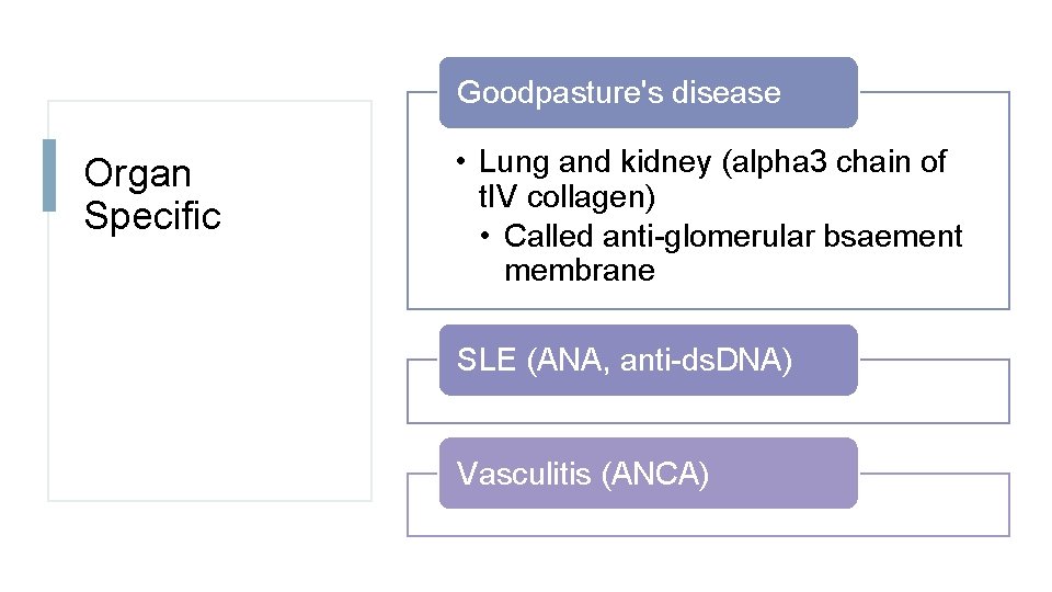 Goodpasture's disease Organ Specific • Lung and kidney (alpha 3 chain of t. IV