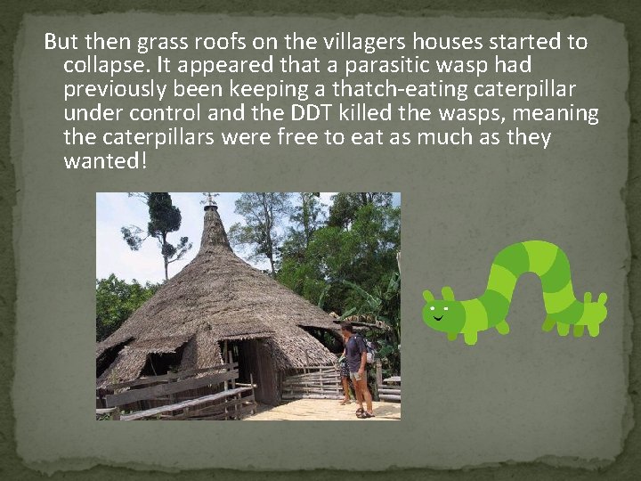 But then grass roofs on the villagers houses started to collapse. It appeared that