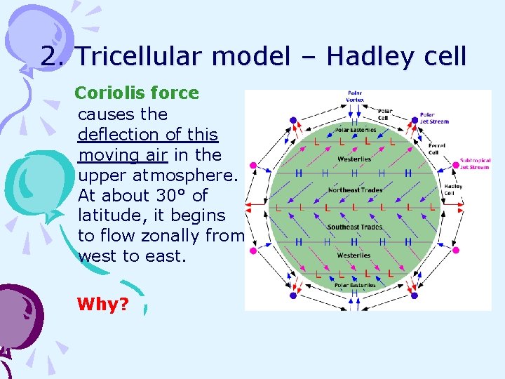 2. Tricellular model – Hadley cell Coriolis force causes the deflection of this moving