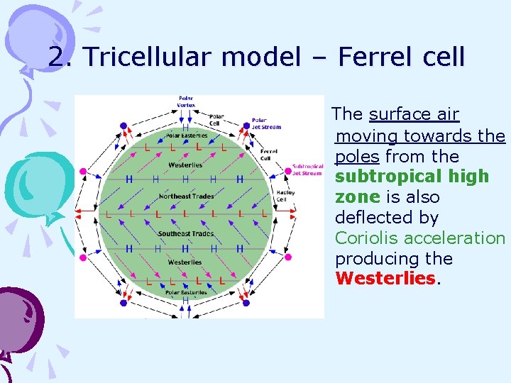 2. Tricellular model – Ferrel cell The surface air moving towards the poles from