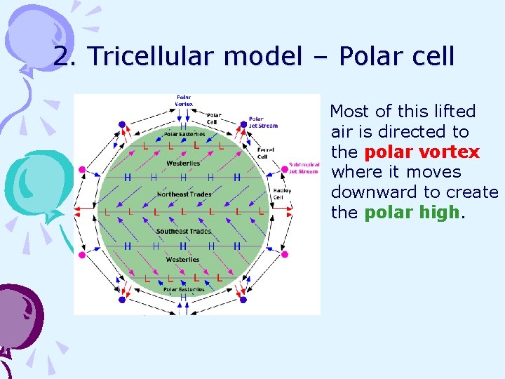 2. Tricellular model – Polar cell Most of this lifted air is directed to