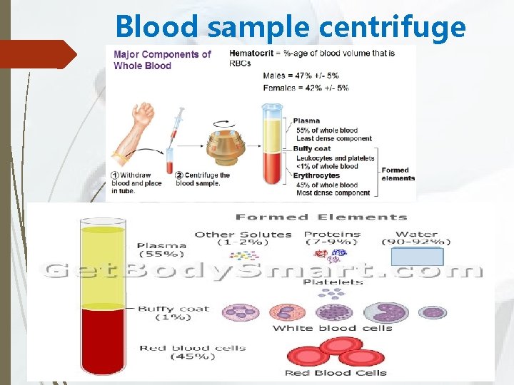 Blood sample centrifuge 