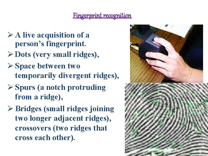 Fingerprint recognition Ø A live acquisition of a person’s fingerprint. Ø Dots (very small Fingerprint recognition Ø A live acquisition of a person’s fingerprint. Ø Dots (very small