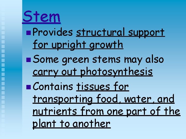 Stem n Provides structural support for upright growth n Some green stems may also