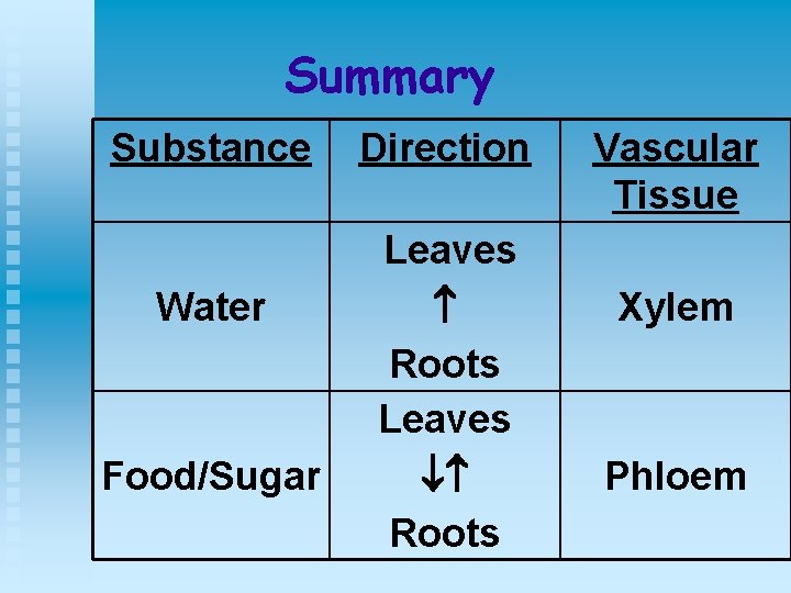 Summary Substance Water Food/Sugar Direction Leaves Roots Vascular Tissue Xylem Phloem 