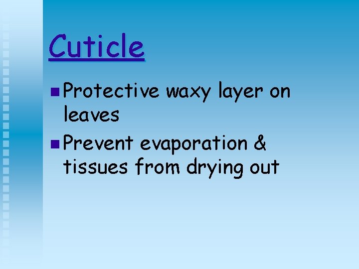 Cuticle n Protective waxy layer on leaves n Prevent evaporation & tissues from drying