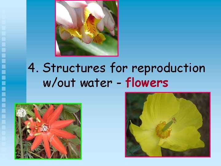 4. Structures for reproduction w/out water - flowers 